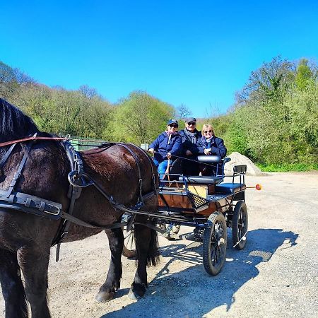 Eco-Gite La Chambre Du Vanneur Mentheville Dış mekan fotoğraf