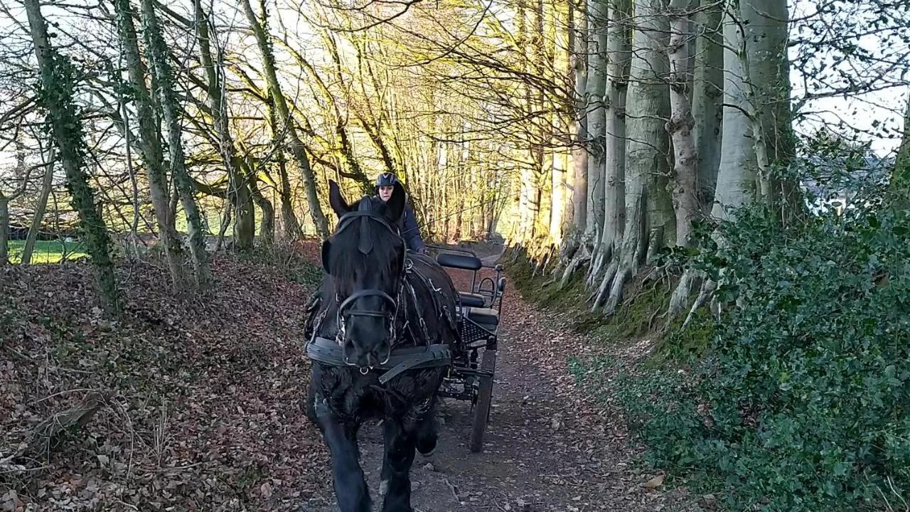 Eco-Gite La Chambre Du Vanneur Mentheville Dış mekan fotoğraf